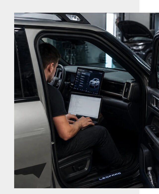 Русификация BYD Leopard 3 в Саянске по цене от 20246 р. | ФастМобиль-Сск